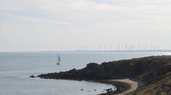 Top services en détection de réseau dans le Morbihan